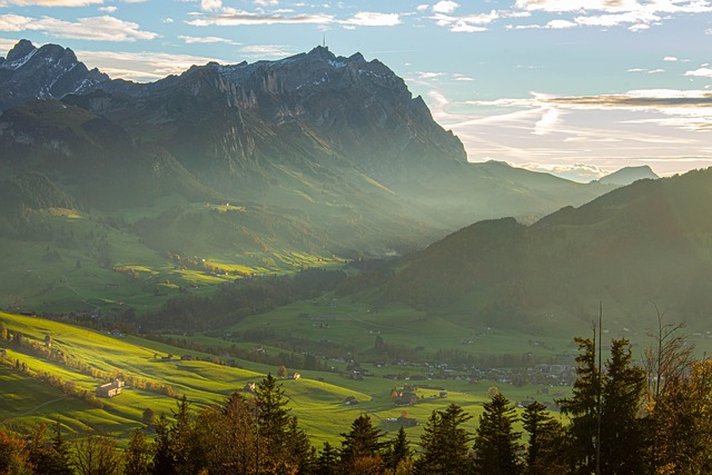 Как обжаловать административные штрафы по закону: инструкция и советы