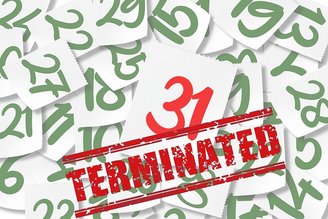 Расторжение трудового договора: особенности и порядок действий