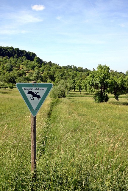 Законы об охране окружающей среды: всё, что нужно знать