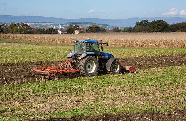 Ответственность компаний за нарушение трудовых норм: что нужно знать